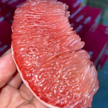 精品蜜柚，口感好，颜色漂亮蜜柚货源充足，欢迎全国电商。