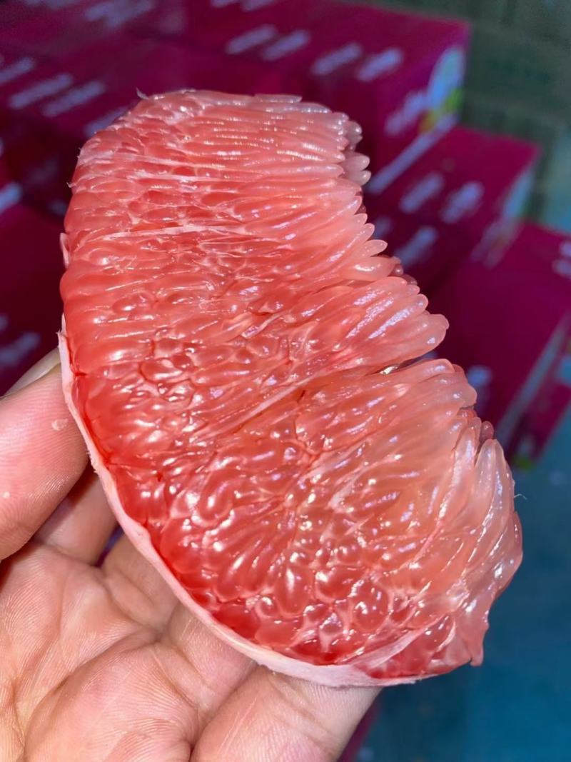 精品蜜柚，口感好，颜色漂亮蜜柚货源充足，欢迎全国电商。