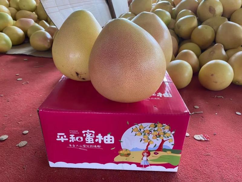 精品蜜柚，口感好，颜色漂亮蜜柚货源充足，欢迎全国电商。