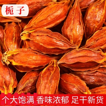 栀子中药材栀子无硫***精挑细选实物图经营各种规格