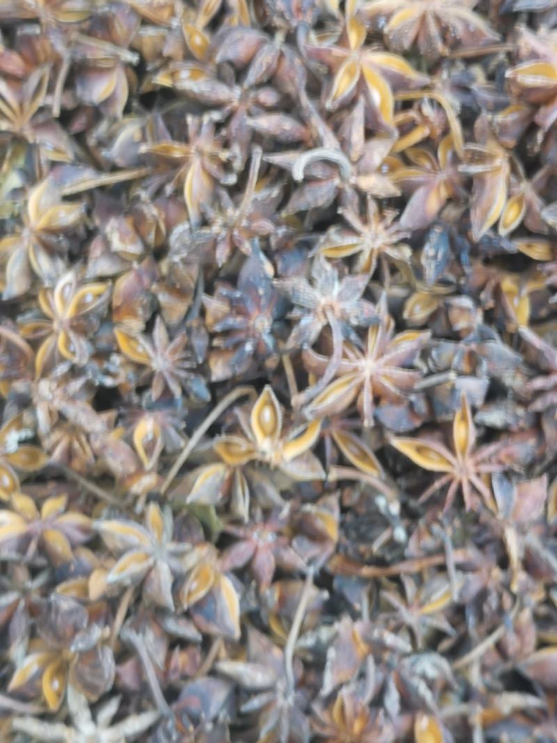 八角精选无硫足干新秋大红八角大茴大料供应全国市场超市餐饮