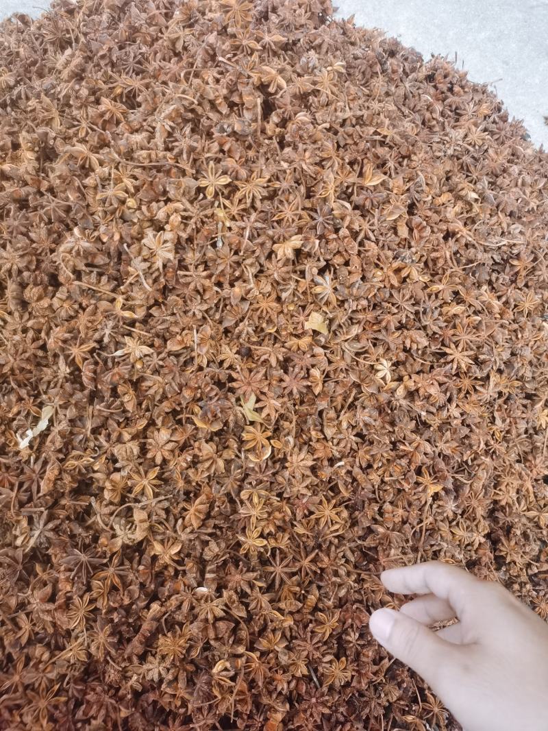 八角精选无硫足干新秋大红八角大茴大料供应全国市场超市餐饮