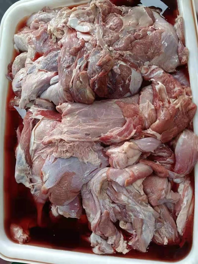 国产小牛牛前肉块形大瘦度高质优价廉一件也是批发价