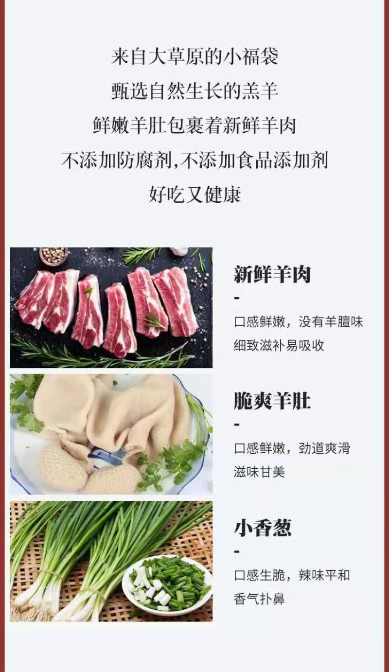 【一手货源】内蒙古羊肚包肉新鲜羊肉羊肚包脑肚包肉产地