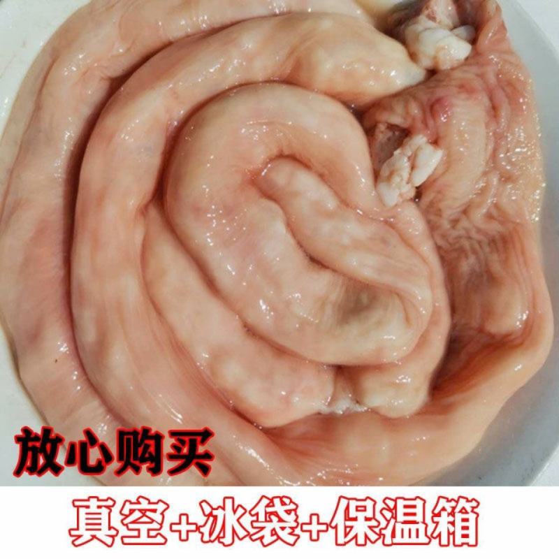 一手货源(5斤包邮)新鲜羊肥肠大肠冷冻生羊肠羊肥油肠