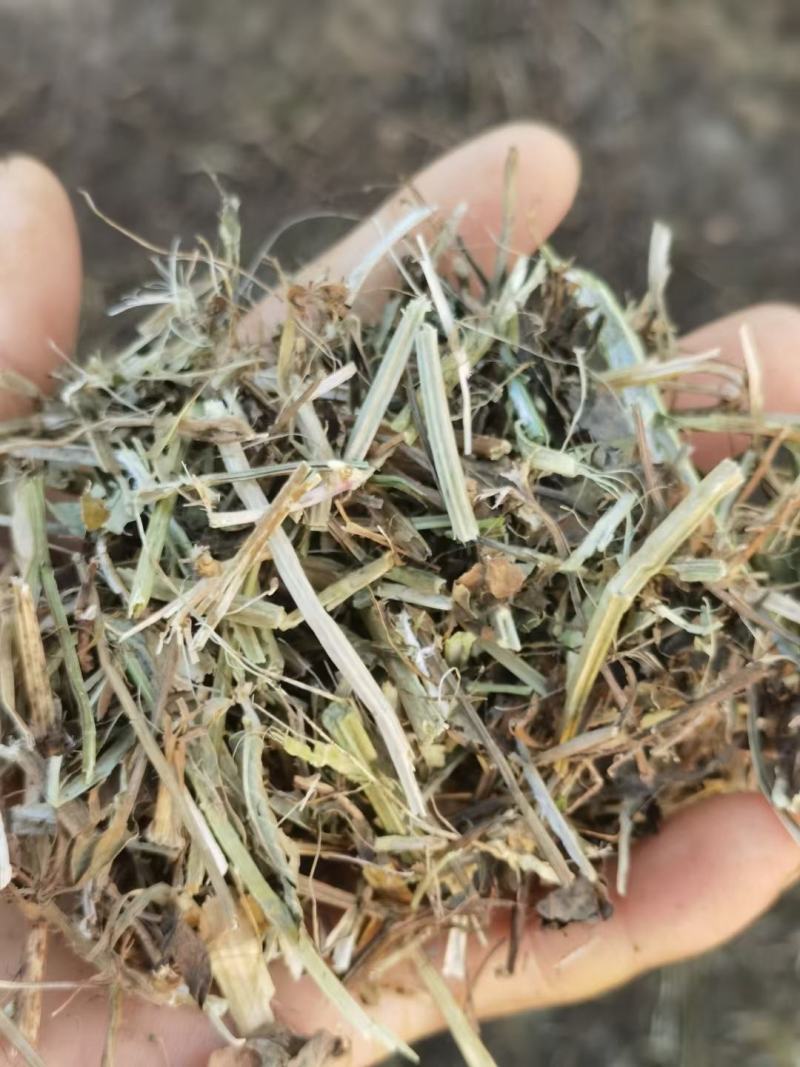 花生秧，草料，颗粒饲料，花生秧草粉常年出售