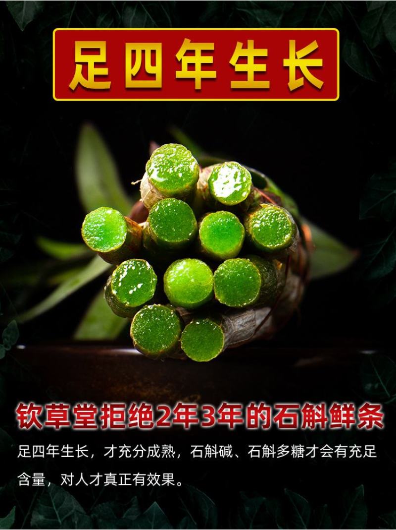 霍山铁皮石斛鲜条石斛鲜条霍山米斛鲜条原产地基地直发