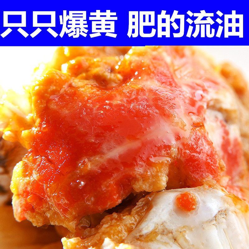 【全母满黄特大蟹】大闸蟹鲜活螃蟹活体现货礼盒4两六月黄河