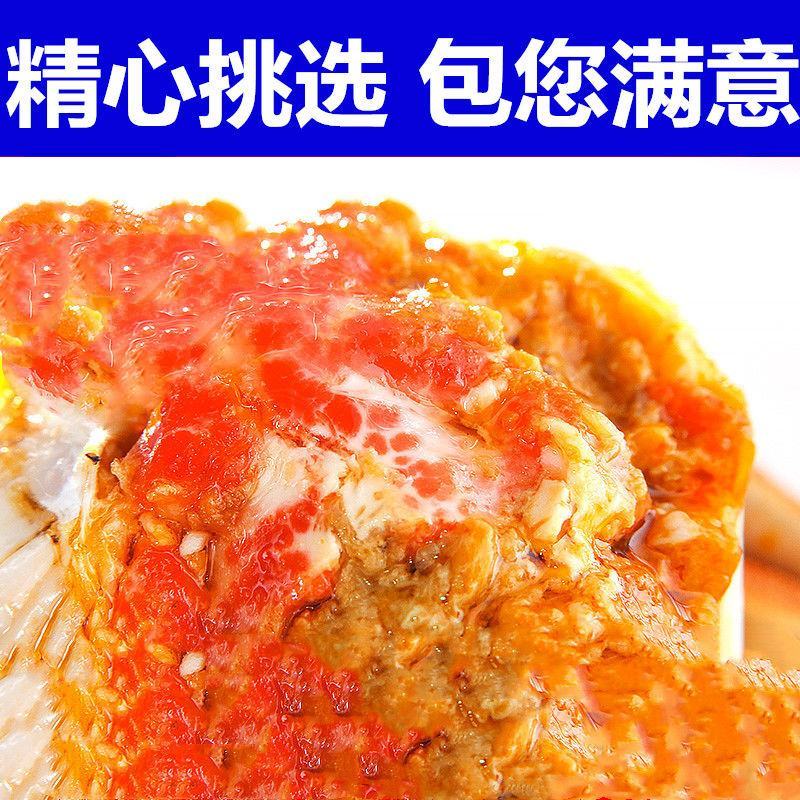 【全母满黄特大蟹】大闸蟹鲜活螃蟹活体现货礼盒4两六月黄河