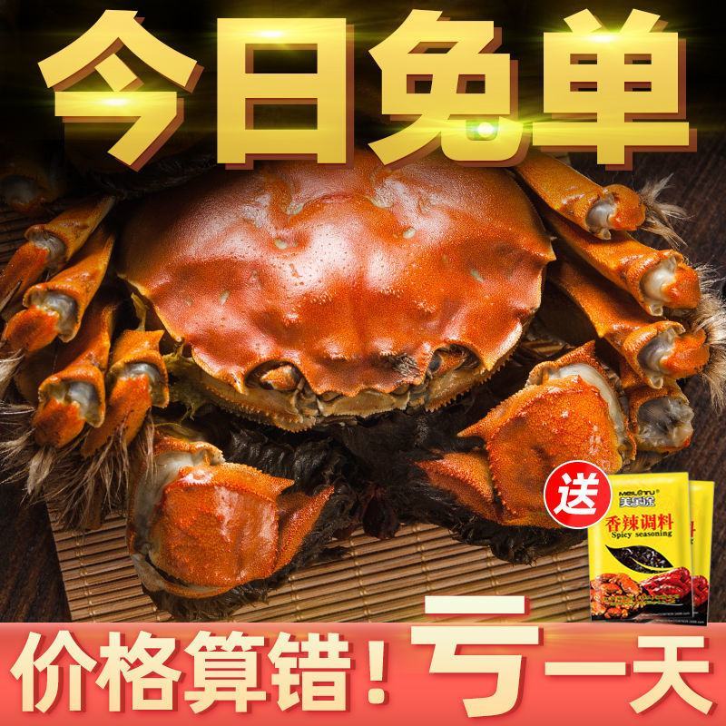 【全母满黄特大蟹】大闸蟹鲜活螃蟹活体现货礼盒4两六月黄河