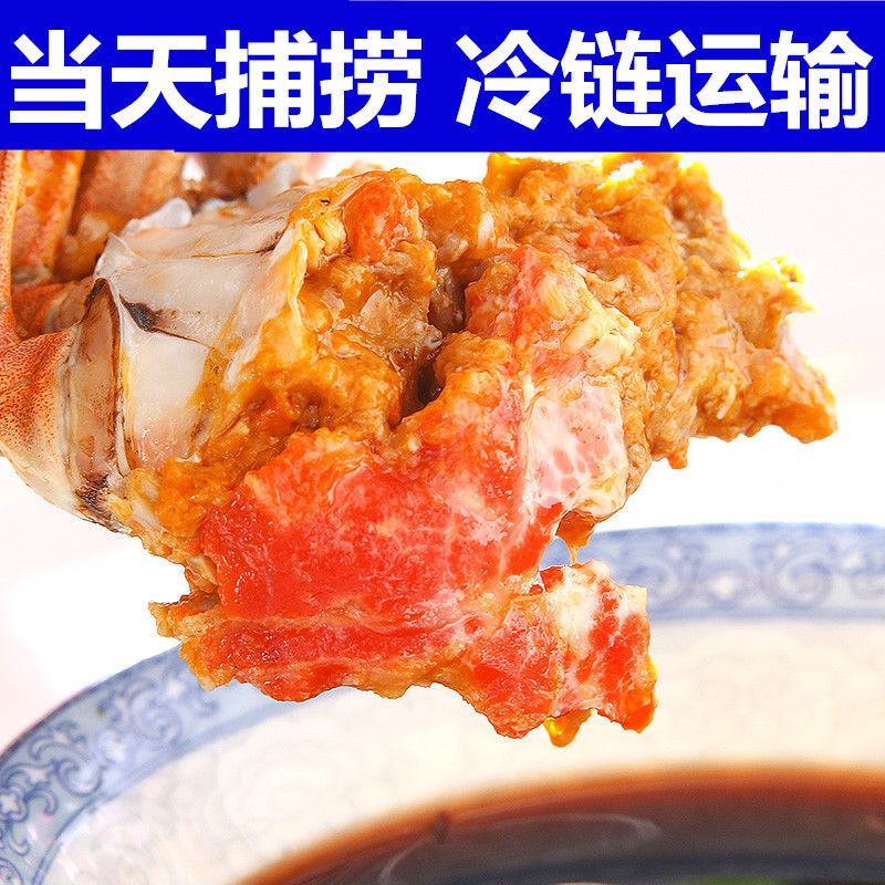 【全母满黄特大蟹】大闸蟹鲜活螃蟹活体现货礼盒4两六月黄河