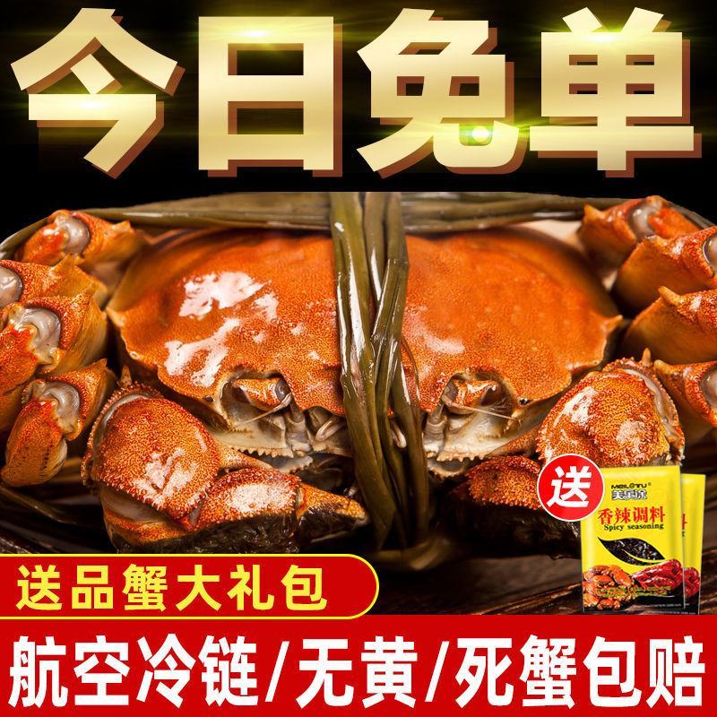 【全母满黄特大蟹】大闸蟹鲜活螃蟹活体现货礼盒4两六月黄河