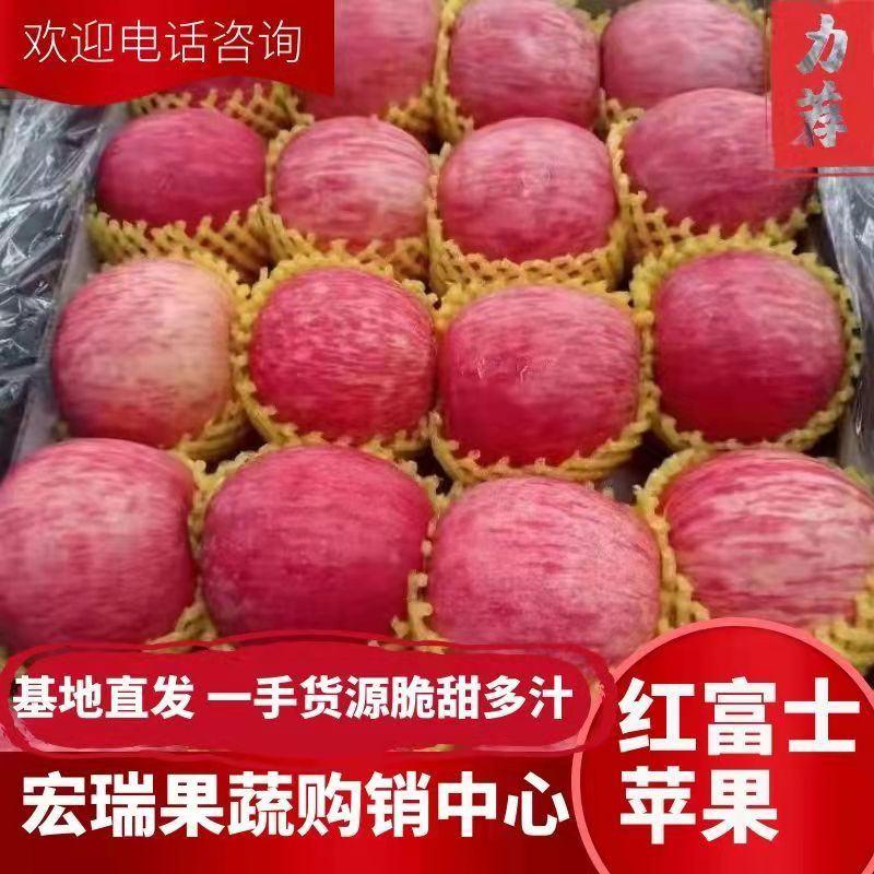 【苹果】山东精品红富士苹果产地直供一手货源脆甜多汁
