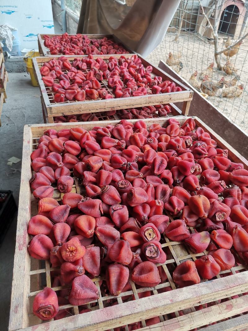 广西柿饼大量上市产地便宜柿饼地摊江湖货柿饼大量便宜柿饼