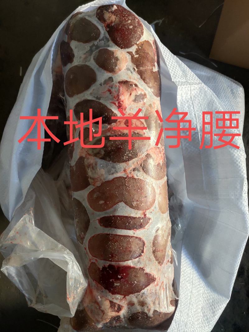 【羊净腰】绵羊的净腰！新鲜速冻！箱装一件五十斤十卷！