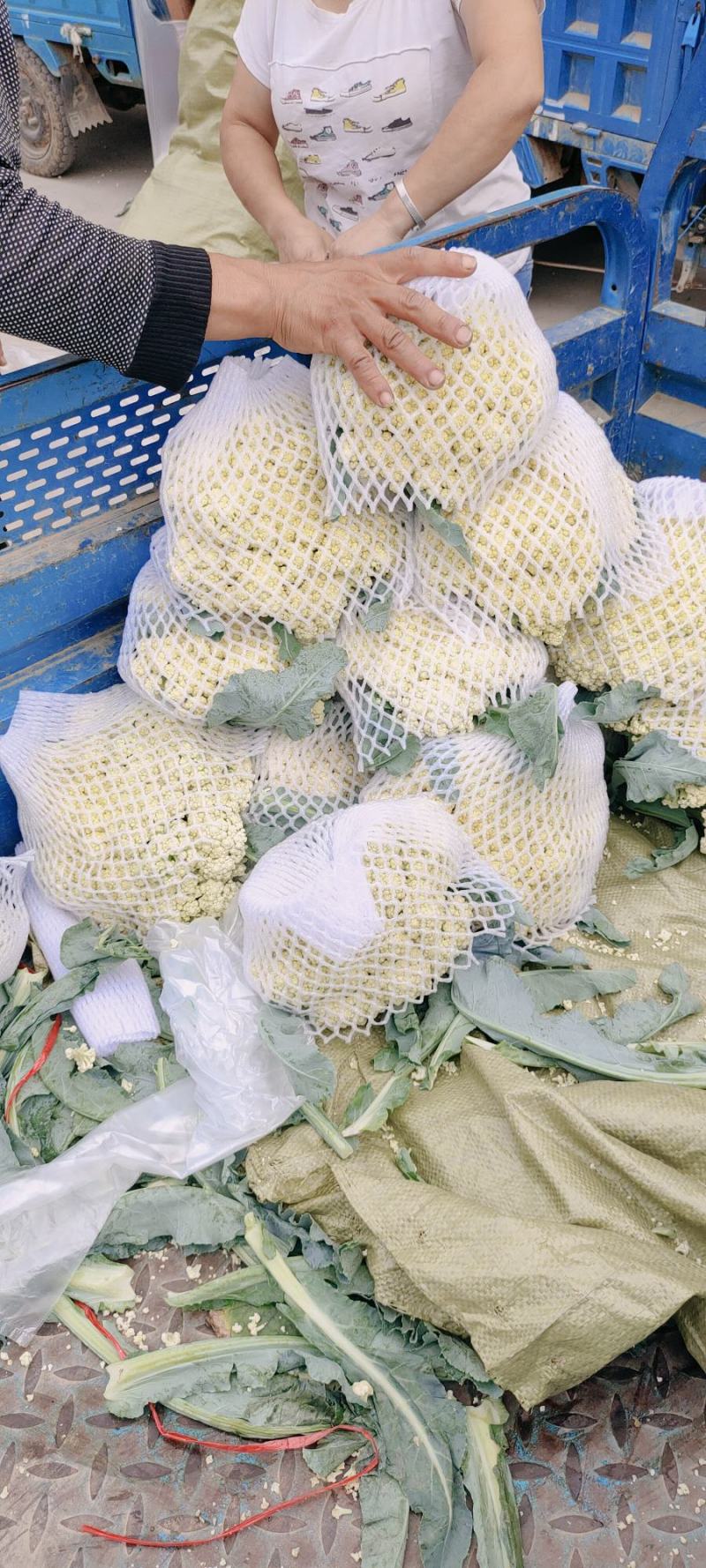青梗松花菜，肥城市松花菜，有机花菜大量供应