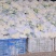 青梗松花菜，肥城市松花菜，有机花菜大量供应