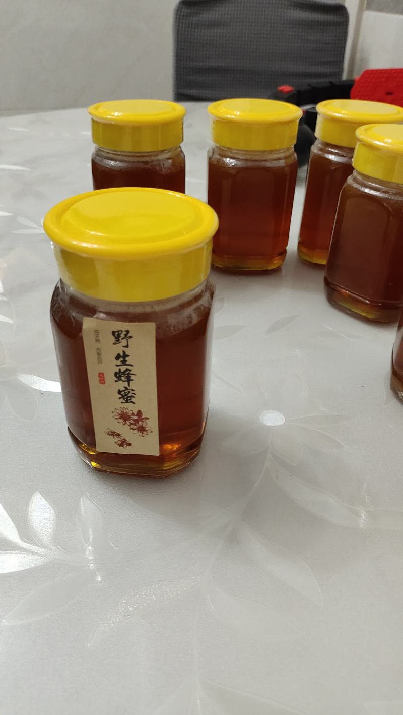 农家土蜂蜜全国顺丰包邮！魏gx68875