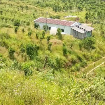 阳山荒地1000亩