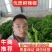 精品螺丝椒【热卖中】原产地直采,超市直供,电商优选鲜辣椒