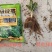 錦点土豆拌种新科技土豆拌种剂