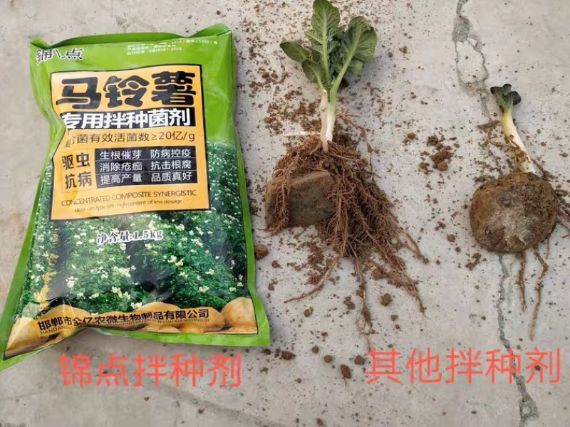 錦点土豆拌种新科技土豆拌种剂