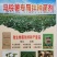 錦点土豆拌种新科技土豆拌种剂