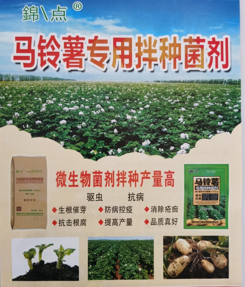 錦点土豆拌种新科技土豆拌种剂