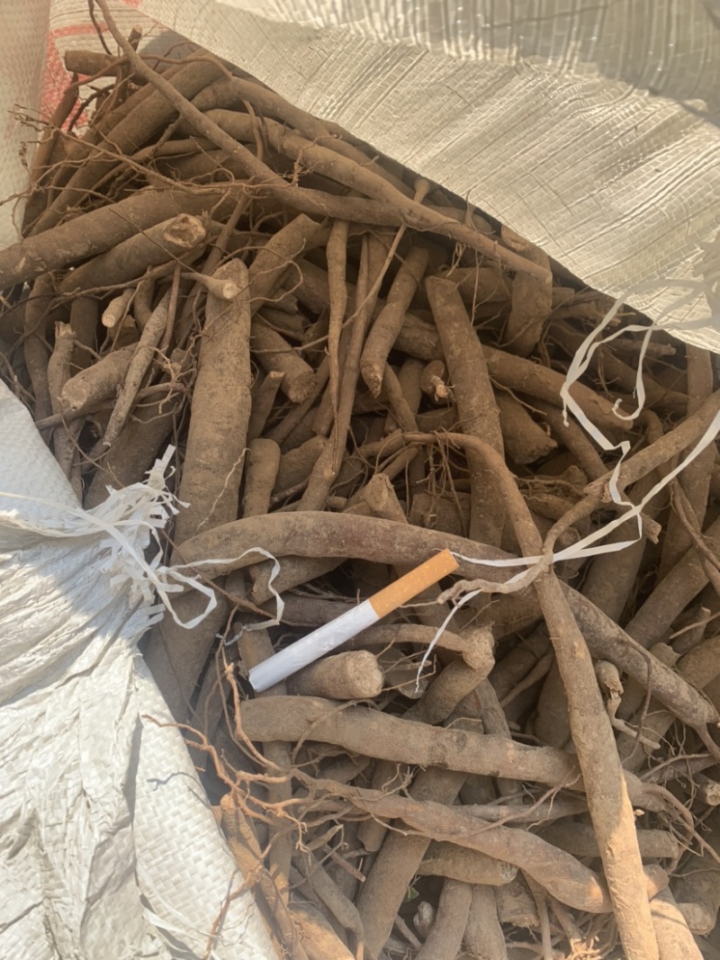 鲜白芍，山东菏泽本地货。