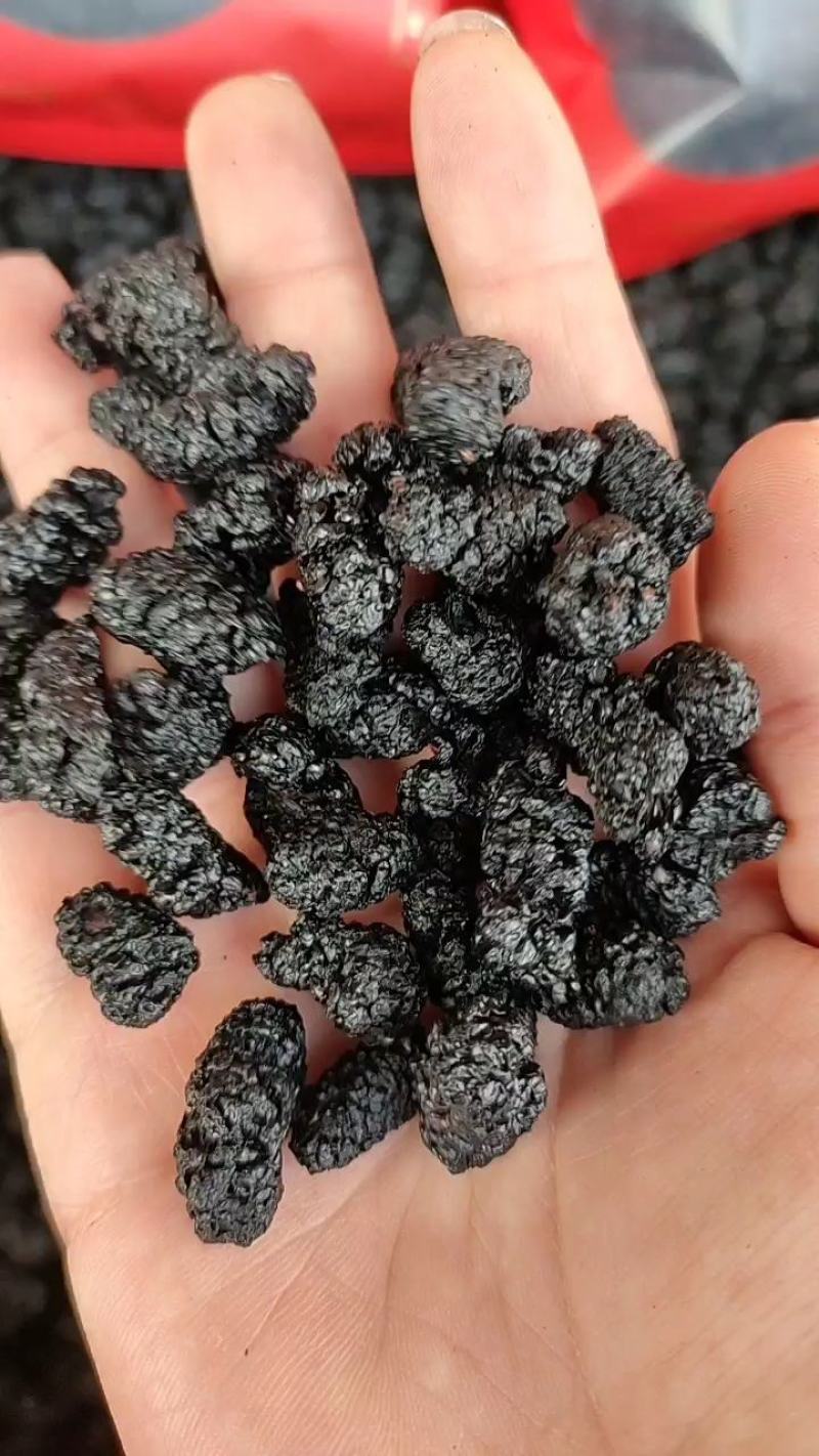 水洗桑葚干包邮无硫杀菌水洗药食两用泡水干吃