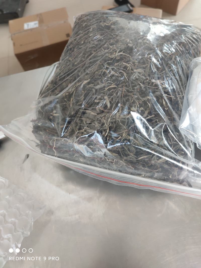 普洱茶老树茶，勐库老树茶