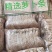 吉林省长岭县白萝卜，萝卜干基地大量上市，欢迎前来考察