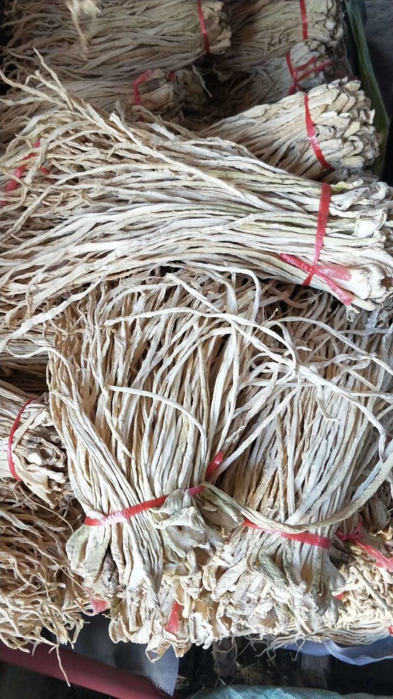 吉林省长岭县白萝卜，萝卜干基地大量上市，欢迎前来考察