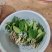 油茶苗