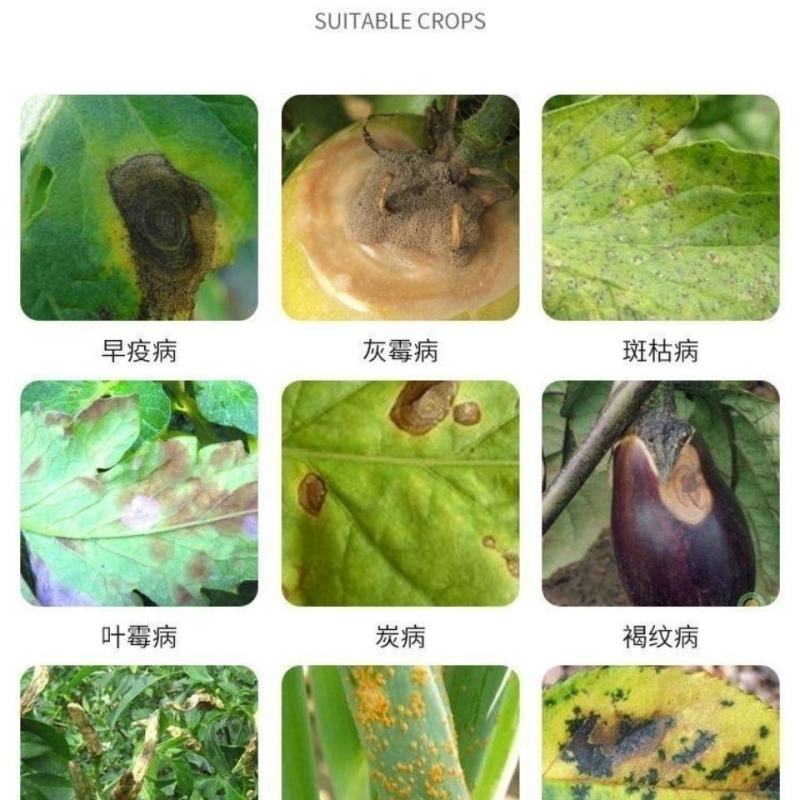 代森锌蓝粉早疫病炭疽病叶斑病杀菌剂植物果树杀菌剂