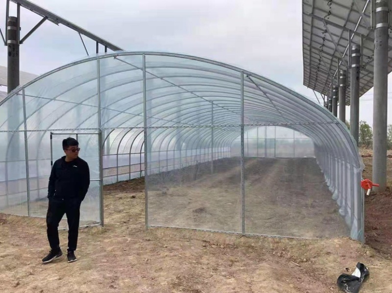 钢管蔬菜大棚，鸡鸭鹅大棚，产地直发，量大从优，欢迎进店联