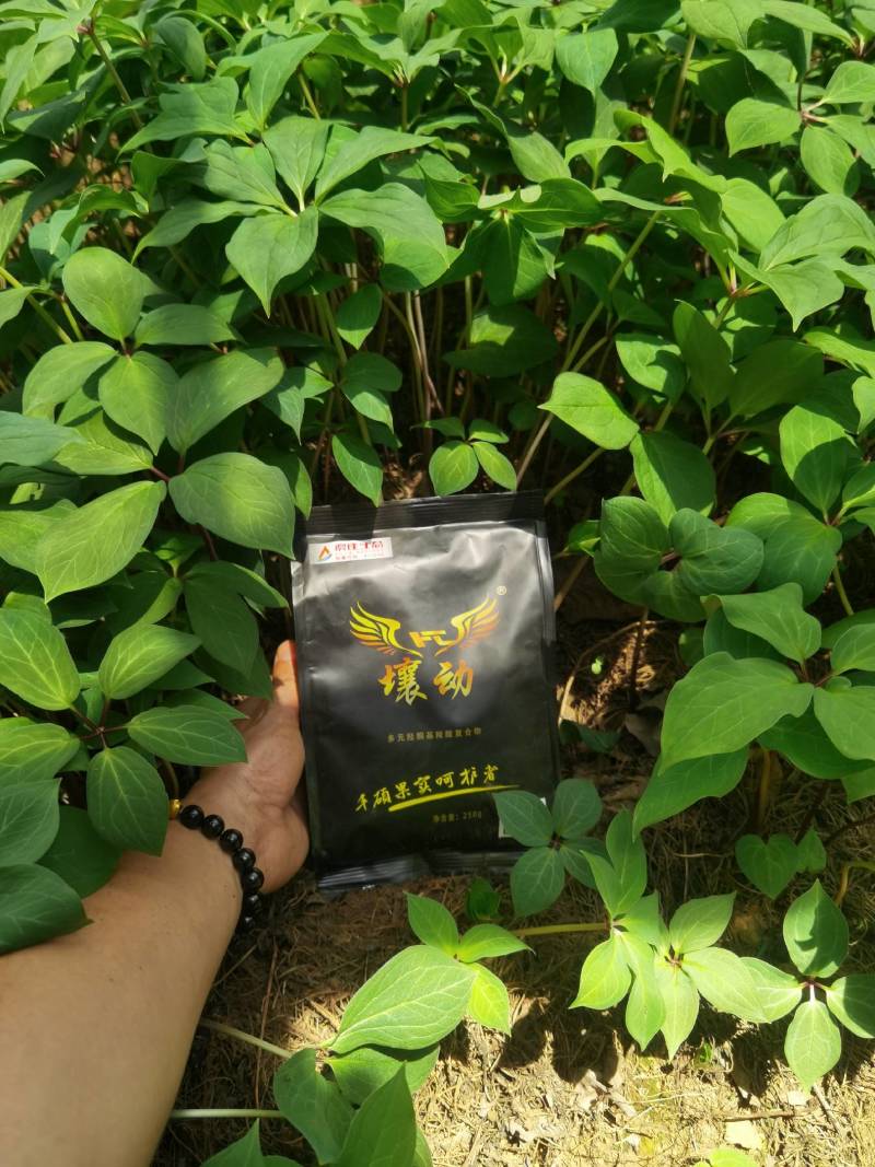 中药材专用肥料壤动250g黄精重楼专用肥料