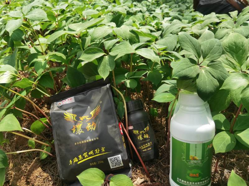 中药材专用肥料壤动250g黄精重楼专用肥料