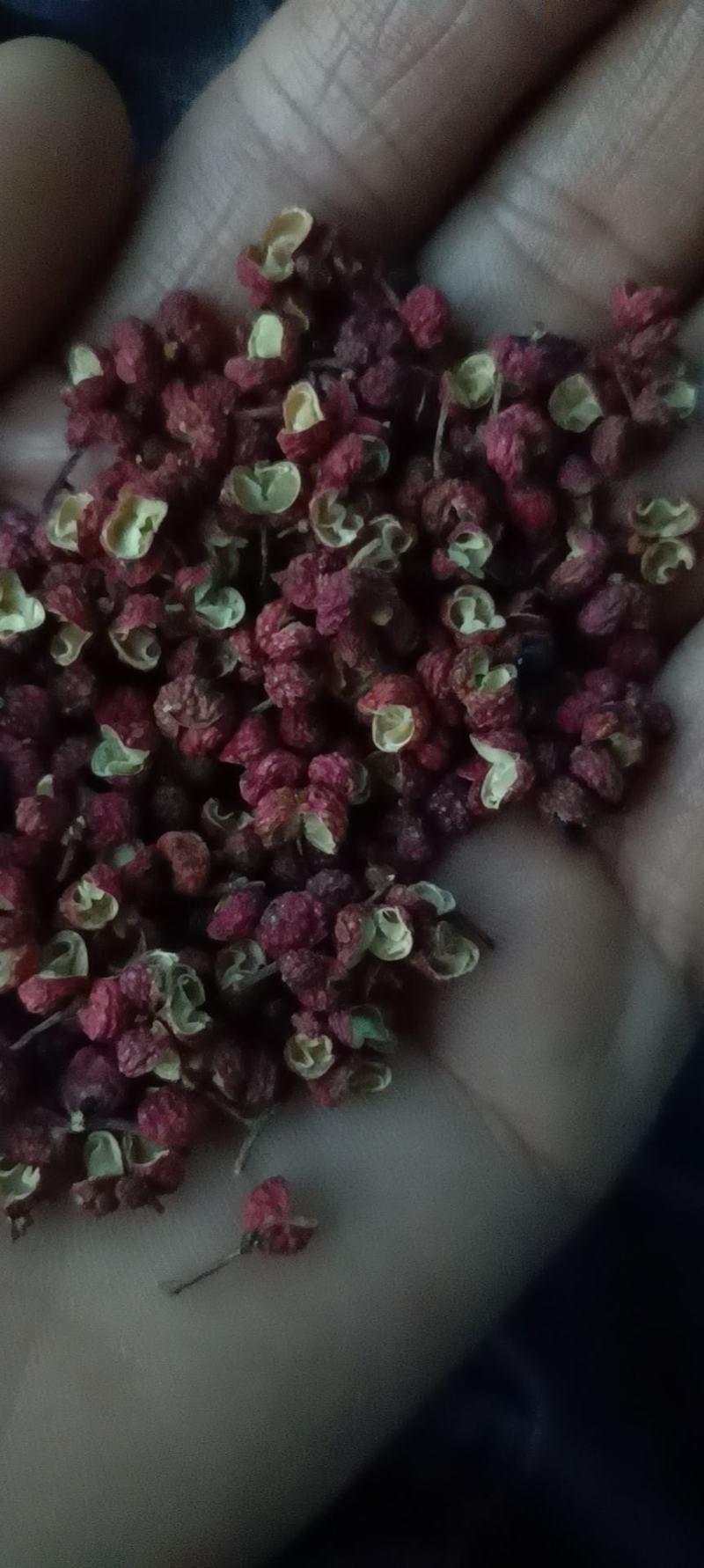 陕西富平大红袍花椒味道香麻