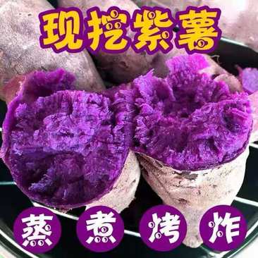 【粉糯香甜】新鲜沙地紫薯板栗薯整箱净重9斤装坏了包赔包邮