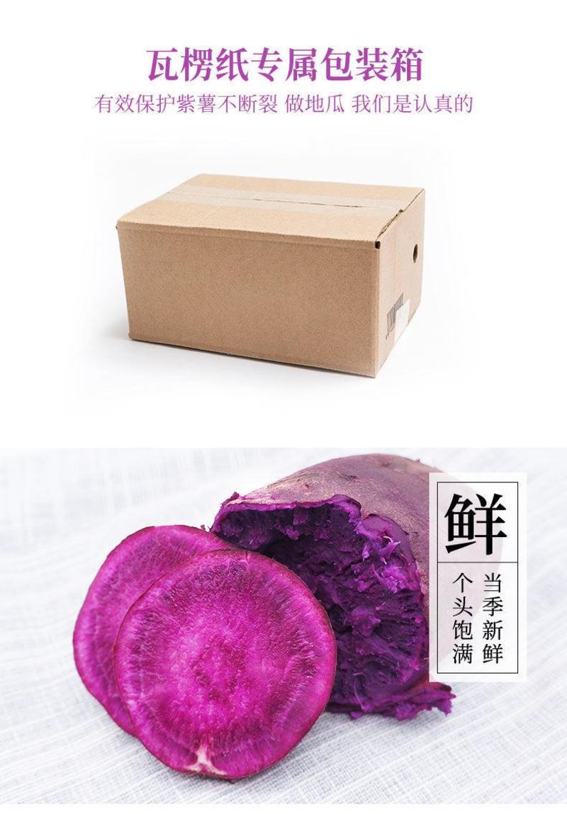 【粉糯香甜】新鲜沙地紫薯板栗薯整箱净重9斤装坏了包赔包邮