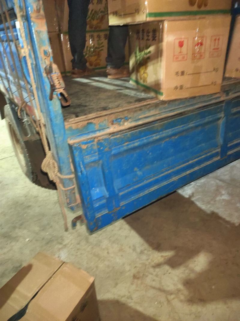 云南精品小黄姜基地直供货源充足可供电商欢迎各平台对接