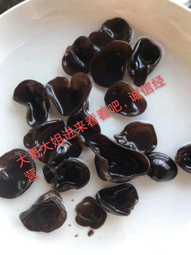 2024年新货东北黑木耳批发肉厚小碗耳农家种植包邮干货