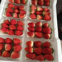 草莓，宁玉妙香代办各类包装各类品种！田间地头直供