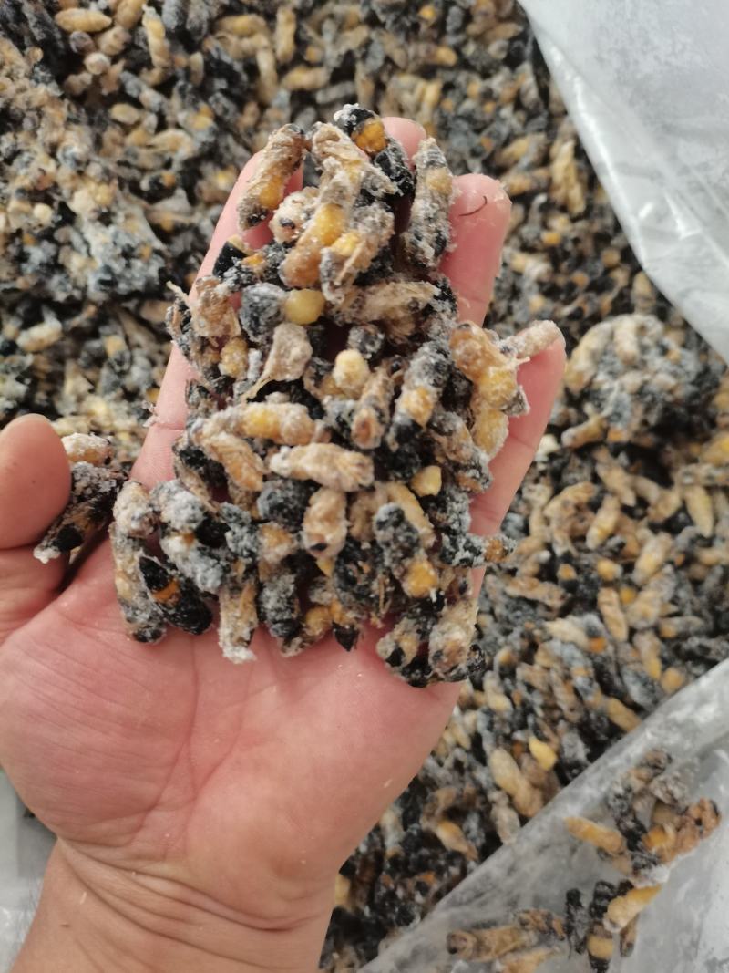 树蜂一二三四级