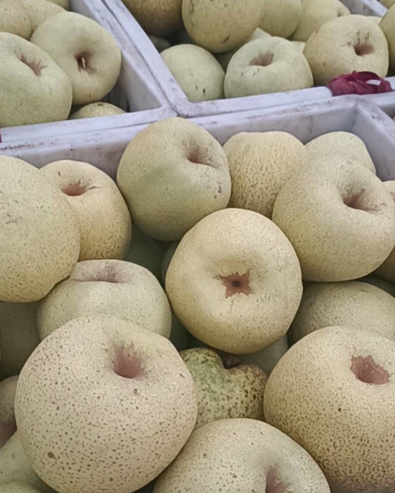 砀山梨大量上市价格低