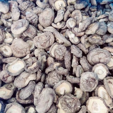 干香菇