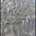 草鱼苗10cm以上人工养殖