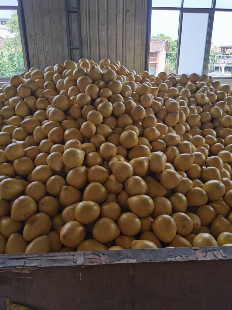 三红蜜柚小薄皮口感甜甜密市场电商超市每天有货需要联系
