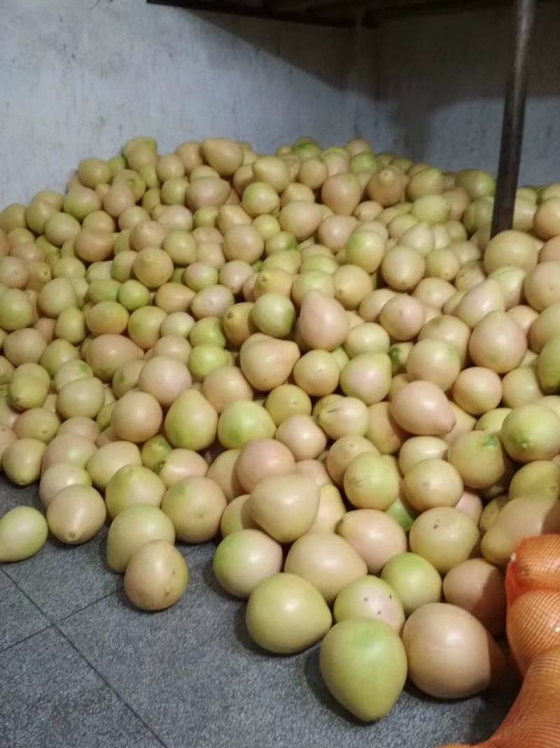 三红蜜柚小薄皮口感甜甜密市场电商超市每天有货需要联系